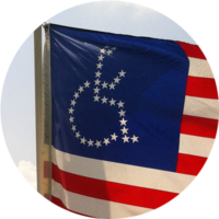 Disability Identity session icon: ADAPT flag waving in the wind