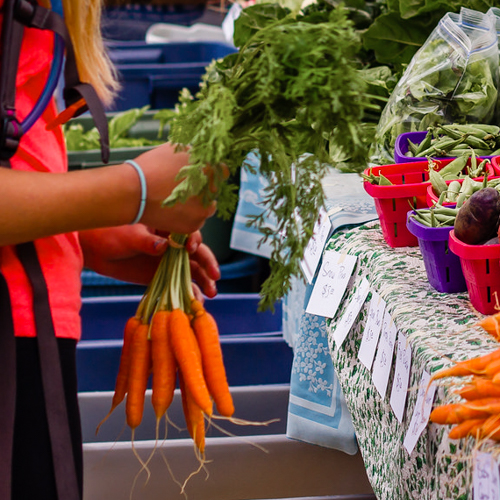 Person holding carrots at a market