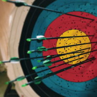 Goal Setting session icon: Arrows in the bullseye of a target.