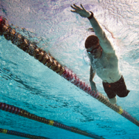 Physical Activity session icon: A man in goggles swims in his lane, as viewed from beneath the surface of the water.