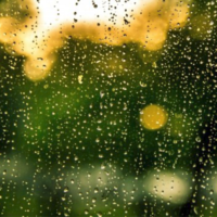 Staying on Course session icon: Rain condensation on the glass pane of a window.