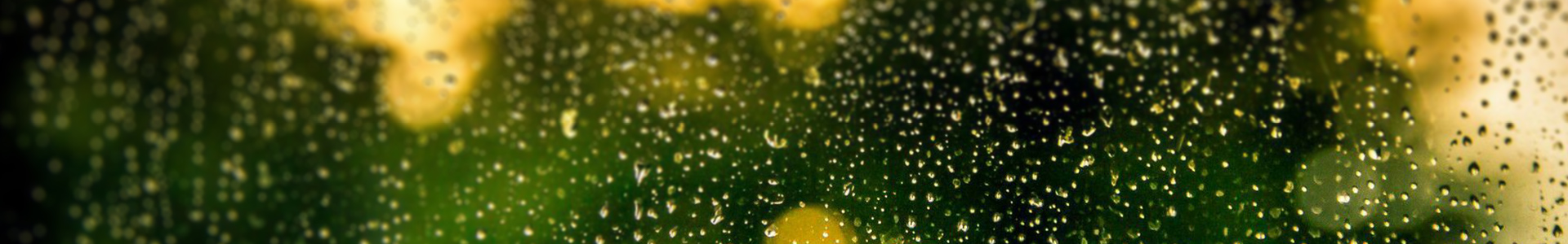 (Session banner image) Rain condensation on the glass pane of a window.