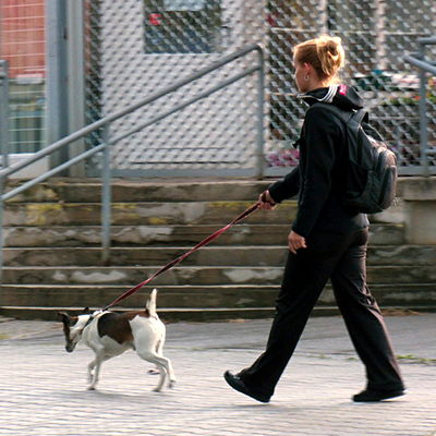 Woman walking a small dog